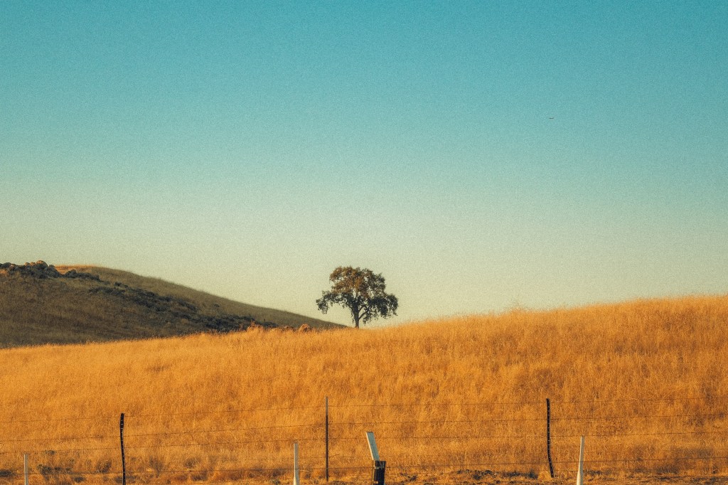 We watched a sunset&nbsp;together.